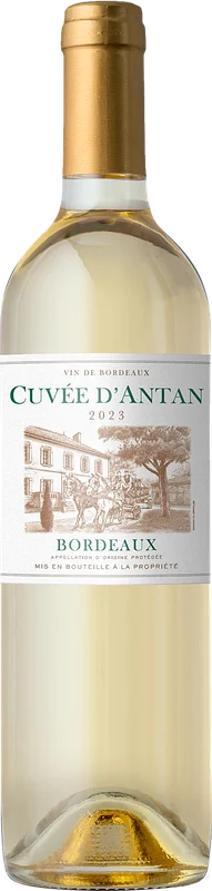wineinsiders728966