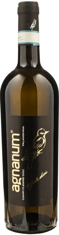 xtrawine2818680